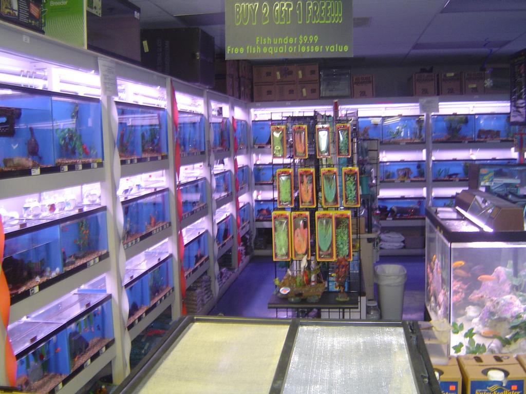 Pets Plus Londonderry NH 03053 6034252738 All Animal Services